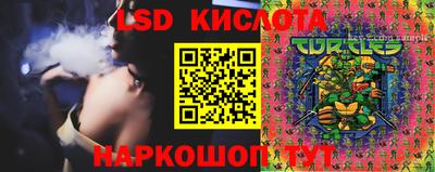 крисы Кимры